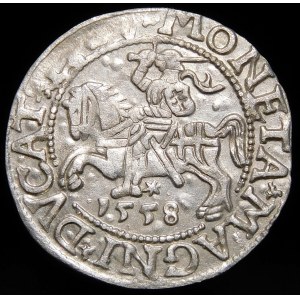 Zygmunt II August, Półgrosz 1558, Wilno - LI/LITV