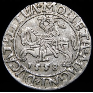 Zygmunt II August, Półgrosz 1558, Wilno - LI/LITVA