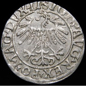 Zygmunt II August, Półgrosz 1558, Wilno - LI/LITVA