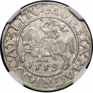 Sigismund II Augustus, Half-penny 1559, Vilnius - L/LITV - beautiful