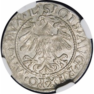Sigismund II Augustus, Half-penny 1559, Vilnius - L/LITV - beautiful
