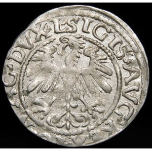 Sigismund II Augustus, Half-penny 1559, Vilnius - L/LITV