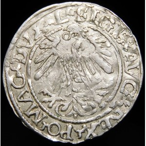 Sigismund II Augustus, Half-penny 1559, Vilnius - L/LITVA