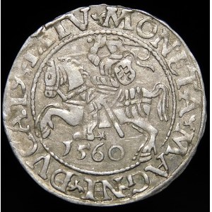 Zygmunt II August, Półgrosz 1560, Wilno - DVX L/LITV