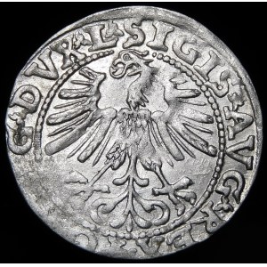 Sigismund II Augustus, Half-penny 1563, Vilnius - 19 Pogon, Axe, DVX L/LIT - rare