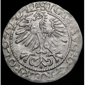 Sigismund II Augustus, Half-penny 1564, Vilnius - 21 Pogon, Axe, LI/LITV