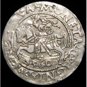 Zygmunt II August, Półgrosz 1560, Wilno - DVX L/LITVA