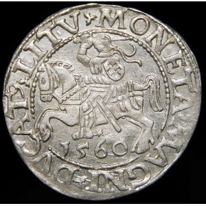 Sigismund II Augustus, Half-penny 1560, Vilnius - DVX L/LITV
