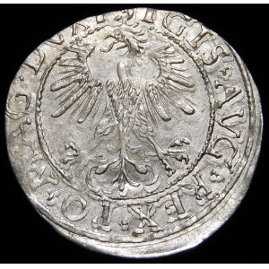 Sigismund II Augustus, Half-penny 1560, Vilnius - DVX L/LITV