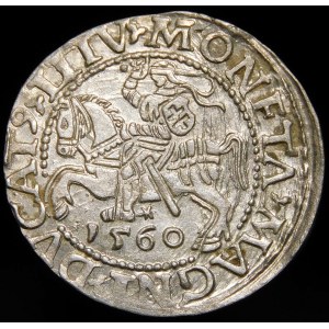 Zikmund II August, půlgroše 1560, Vilnius - DVX LI/LITV