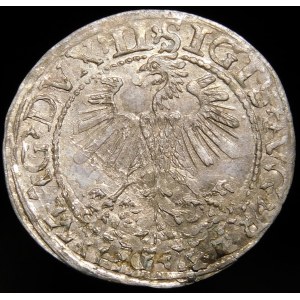 Zikmund II August, půlgroše 1560, Vilnius - DVX LI/LITV