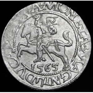 Sigismund II Augustus, Half-penny 1565, Vilnius - 22 Pogon, Axe, L/LITVA