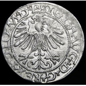 Sigismund II Augustus, Half-penny 1565, Vilnius - 22 Pogon, Axe, L/LITVA