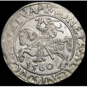 Zikmund II Augustus, půlgroš 1560, Vilnius - DVX L/LITVA - rozeta - vzácné