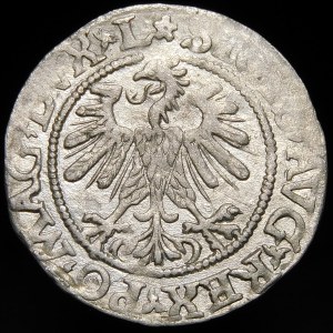 Zikmund II Augustus, půlgroš 1560, Vilnius - DVX L/LITVA - rozeta - vzácné