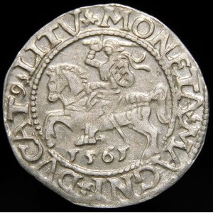 Sigismund II Augustus, Half-penny 1561, Vilnius - 13 Eagle, L/LITV