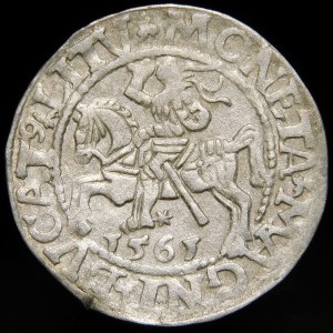Sigismund II Augustus, Half-penny 1561, Vilnius - 13 Eagle, L/LITV