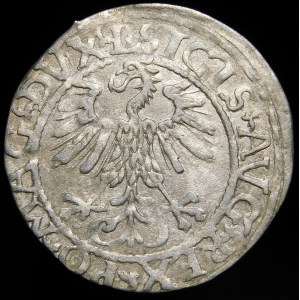 Sigismund II Augustus, Half-penny 1561, Vilnius - 13 Eagle, L/LITV