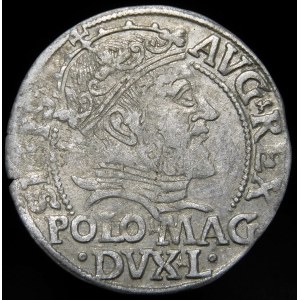 Sigismund II Augustus, Grosz per Polish foot 1547, Vilnius