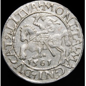 Sigismund II Augustus, Half-penny 1561, Vilnius - 13 Eagle, L/LITVA