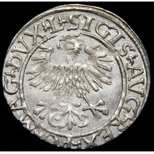 Sigismund II Augustus, Half-penny 1561, Vilnius - 13 Eagle, L/LITVA