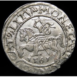 Sigismund II Augustus, Half-penny 1561, Vilnius - 14 Eagle, L/LITV