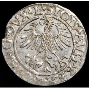 Sigismund II Augustus, Half-penny 1561, Vilnius - 14 Eagle, L/LITV
