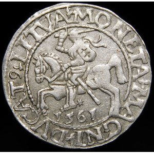Sigismund II Augustus, Half-penny 1561, Vilnius - 14 Eagle, L/LITVA