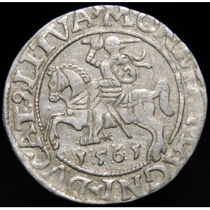 Sigismund II Augustus, Half-penny 1561, Vilnius - 14 Eagle, L/LITVA