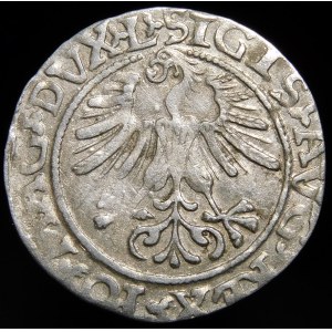Sigismund II Augustus, Half-penny 1561, Vilnius - 14 Eagle, L/LITVA