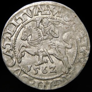 Sigismund II Augustus, Half-penny 1562, Vilnius - 18 Pogon, L/LITVA - no 9 - rare