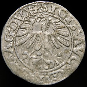 Sigismund II Augustus, Half-penny 1562, Vilnius - 18 Pogon, L/LITVA - no 9 - rare
