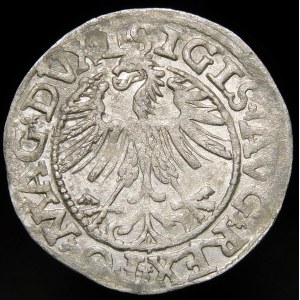 Zygmunt II August, Półgrosz 1563, Wilno - 18 Pogoń, Topór, DVX L/LITV