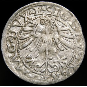 Sigismund II Augustus, Half-penny 1563, Vilnius - 19 Pogon, Axe, DVX L/LITV