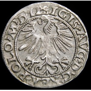 Sigismund II Augustus, Half-penny 1563, Vilnius - 19 Pogon, Axe, DVX LI/LITVA