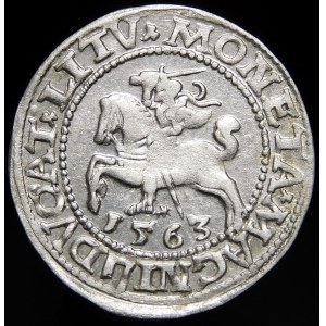 Sigismund II Augustus, Half-penny 1563, Vilnius - DVOAT error - very rare