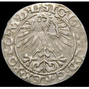 Sigismund II Augustus, Half-penny 1563, Vilnius - 20 Pogon, Axe, M D L/LITVA