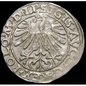 Zygmunt II August, Półgrosz 1563, Wilno - 20 Pogoń, Topór, M D LI/LITVA