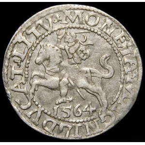 Zygmunt II August, Półgrosz 1564, Wilno - 21 Pogoń, Topór, L/LITV