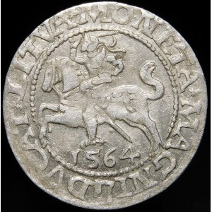 Sigismund II Augustus, Half-penny 1564, Vilnius - 21 Pogon, Axe, L/LITVA