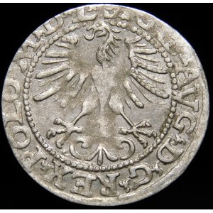 Sigismund II Augustus, Half-penny 1564, Vilnius - 21 Pogon, Axe, L/LITVA