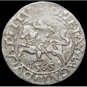 Zygmunt II August, Półgrosz 1565, Wilno - 22 Pogoń, Topór, L/LITV