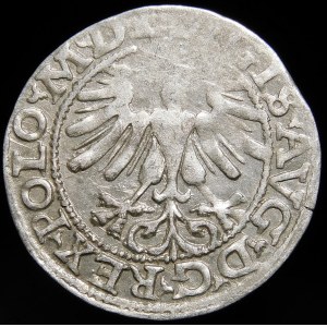 Zygmunt II August, Półgrosz 1565, Wilno - 22 Pogoń, Topór, L/LITV