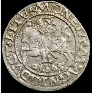 Sigismund II Augustus, Half-penny 1565, Vilnius - 22 Pogon, Axe, L/LITV - DVCT - rare