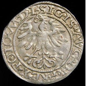 Sigismund II Augustus, Half-penny 1565, Vilnius - 22 Pogon, Axe, L/LITV - DVCT - rare