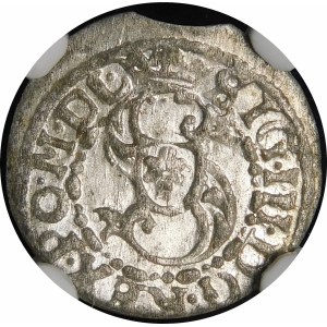 Zygmunt III Vasa, Shelly 1619, Riga - PO M D L, RIGE - krásna
