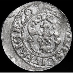 Sigismund III Vasa, Shelrogue 1620, Riga - fox left - ZO, PO M D L - rarer