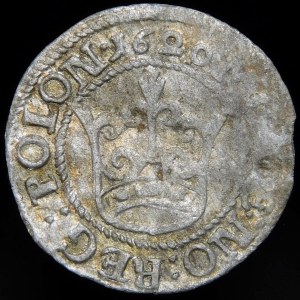 Sigismund III Vasa, Half-penny 1620, Bydgoszcz - rare