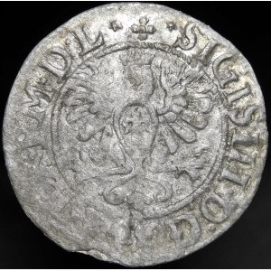 Sigismund III Vasa, Half-penny 1620, Bydgoszcz - rare