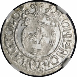 Sigismund III Vasa, Half-track 1620, Bydgoszcz - Sas in oval shield, 2-0 - beautiful
